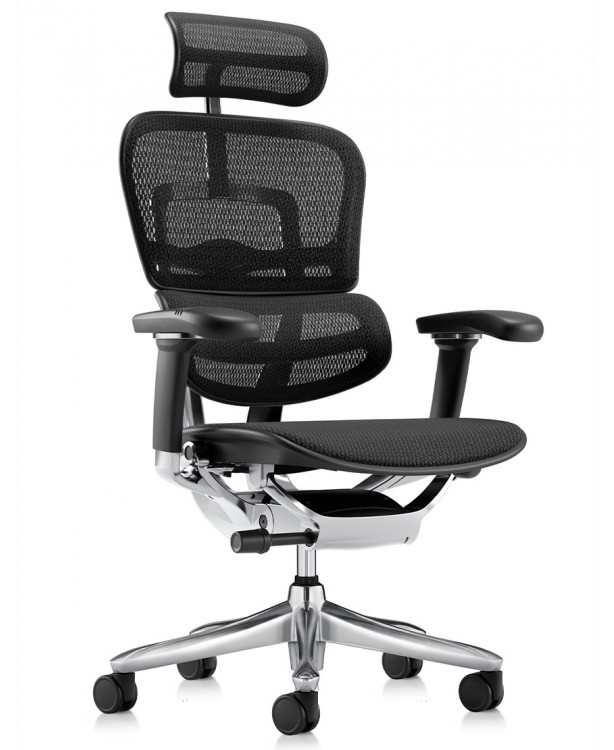 Крісло ERGOHUMAN LUXURY SE...