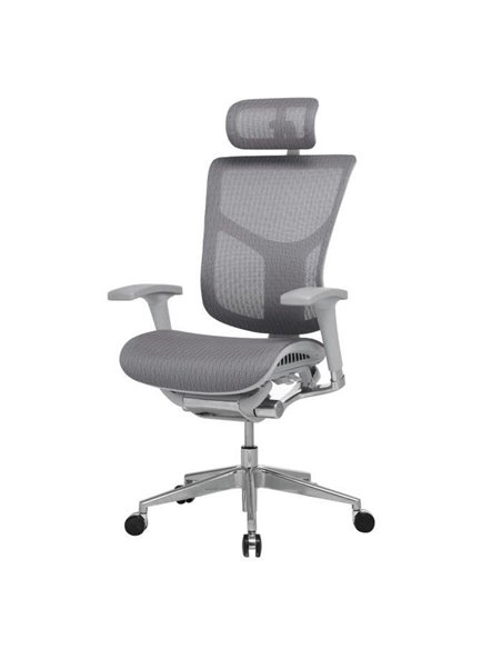 Крісло Expert Star (ST-01G) для керівника, ергономічне, колір сірий