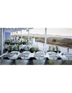 Стілець PEDRALI GLISS 920 білий 2