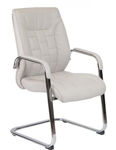 Крісло F340 для відвідувача світло-сірий колір