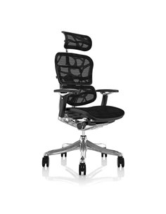 Крісло ERGOHUMAN PLUS LUXURY (EHPL-AB-HAM) комп'ютерне