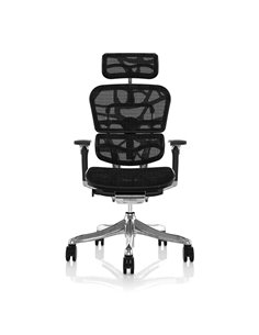 Крісло ERGOHUMAN PLUS LUXURY (EHPL-AB-HAM) комп'ютерне 2