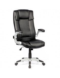 Крісло GOODWIN Littlerock,... 2