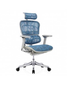 Крісло ERGOHUMAN PLUS...