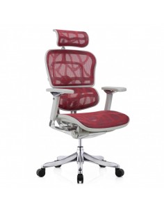 Крісло ERGOHUMAN PLUS...