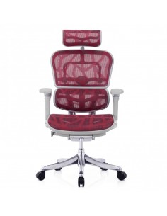 Крісло ERGOHUMAN PLUS... 2