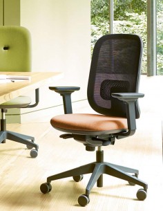 Крісло SOKOA ALAIA R... 2