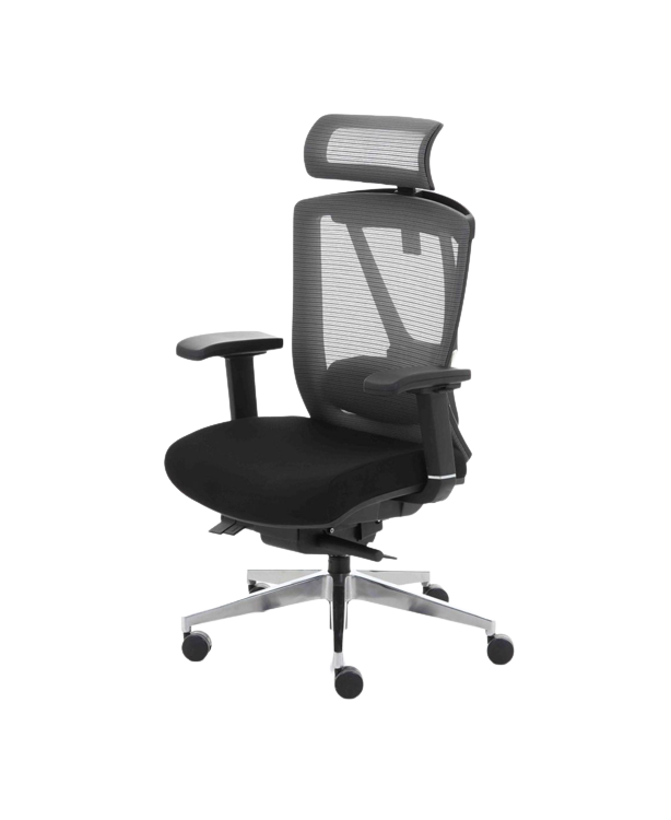 The ergo chair discount 2