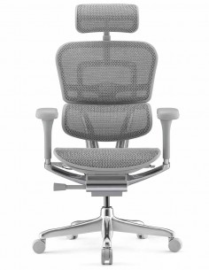 КРІСЛО ERGOHUMAN ELITE 2... 2