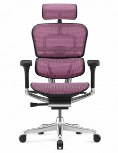 КРІСЛО ERGOHUMAN ELITE 2... 2