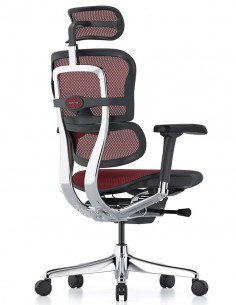 КРІСЛО ERGOHUMAN ELITE 2... 2