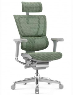 Крісло MIRUS-IOO 2...