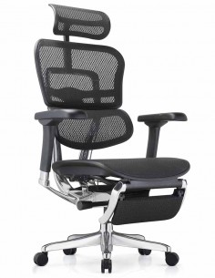 Крісло ERGOHUMAN ELITE 2...