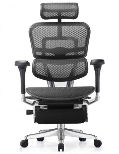 Крісло ERGOHUMAN ELITE 2... 2