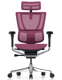 Крісло MIRUS-IOO 2...